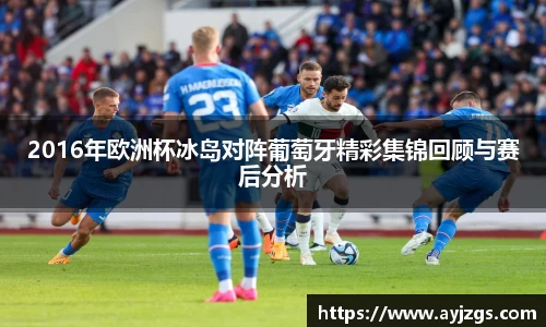 2016年欧洲杯冰岛对阵葡萄牙精彩集锦回顾与赛后分析